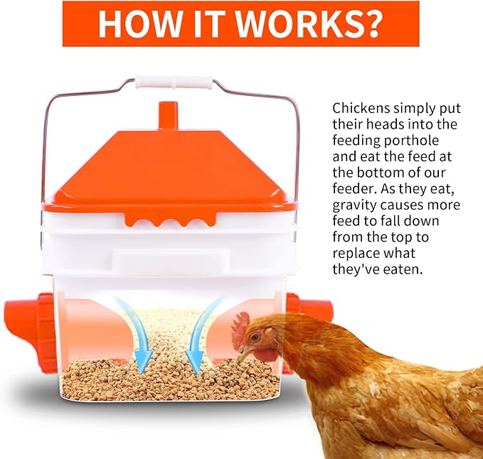 GUEOQTC-10 Pounds Chicken Feeder with 4 Ports, Rainproof Poultry Feeder for Up to 10 Adult Chickens or 15 Chicks（Patented Products）
