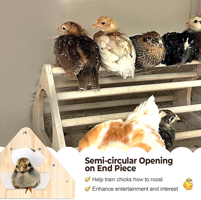 Chicken Perch Chicken Toys for Coop Durable Chick Jungle Gym Strong Wood Roosting Bar Chicken Swing for Chicken Supplies for Chicken Coop Accessories and Brooder for Baby Chicks (2 Pack)