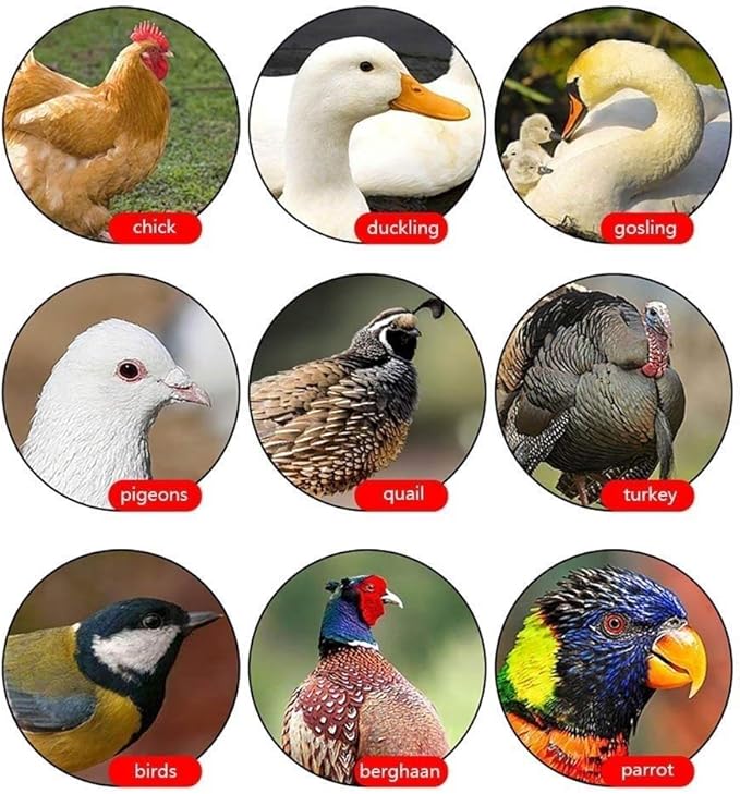 56 Egg Incubator Automatic Turning Digital Poultry Hatcher Temperature Humidity Control Built-in LED Egg Candler, for Chicken Duck Goose