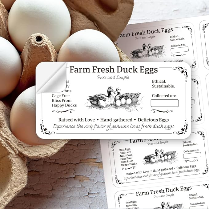 160 Pcs Duck Eggs Carton Labels, Farm Fresh Eggs Sticker Rectangle Egg Stickers PET Adhesive Egg Packaging Stickers for Box Container Carton Farm Supplies, 2x4 Inch