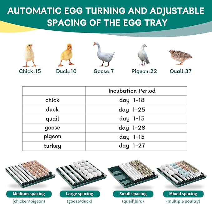 Automatic Egg Incubator 12-38 Eggs Automatic Poultry Intelligent Incubator for Hatching Eggs,with Automatic Turner, Egg Candler&Temperature Control,for Hatching Chicken Quail Bird Duck Eggs (38 EGGS)