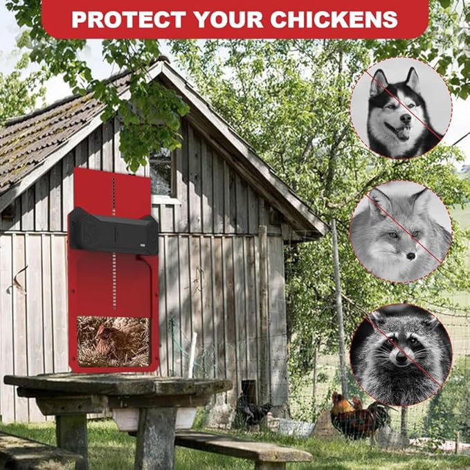 Automatic Chicken Coop Door Solar Powered, 4 Modes Automatic Chicken Door with Timer & Light Sensor, Waterproof Aluminum Alloy Chicken Door with LCD Screen Red