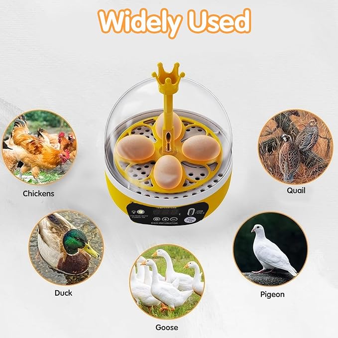 Tissting 4 Eggs Mini Incubator with Transparent Lid,7W Automatic Temperature Humidity Control,Household Small Poultry Hatching Machine,for Chickens Ducks Pigeons (Manual Turning)
