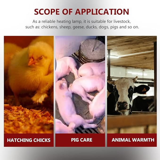 250W Chicken Coop Heater Heat Lamp for Chickens Livestock Brooder Lamp with Metal Guard Waterproof Heating Light for Dog House Winter Chick Poultry