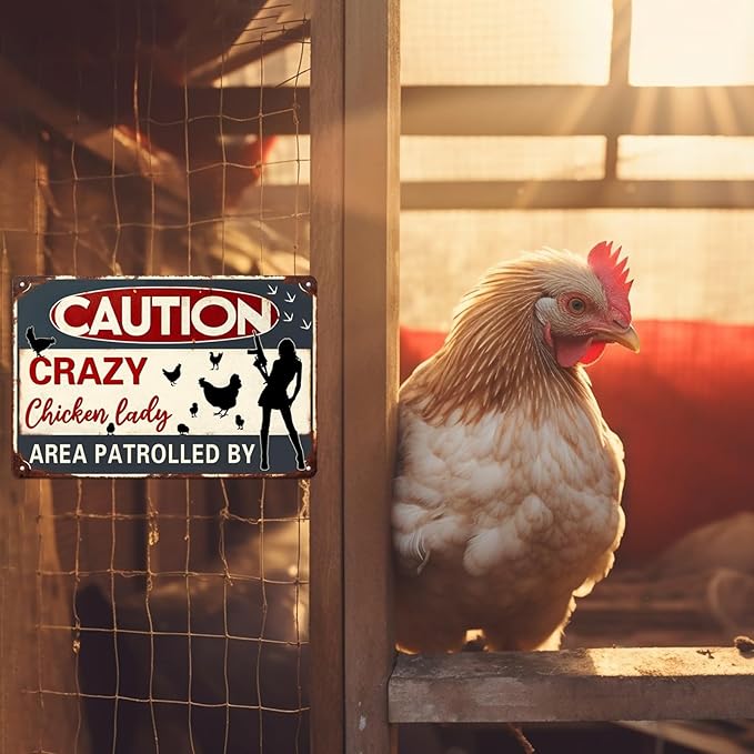 Caution Area Patrolled By Chicken Lady Metal Tin Sign Funny Farm Yard Fence Chicken Coop Caution Sign Outdoor Decor Lovers Gag Gifts 8x12 Inch