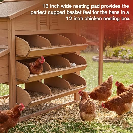 Chicken Nesting Pads – 12 Pack 13x13 Aspen Excelsior Nest Box Liners for Chicken Coop – Natural Chicken Coop Bedding, Egg Protection Pads, Dust-Free Nesting Box Bedding for Laying Hens