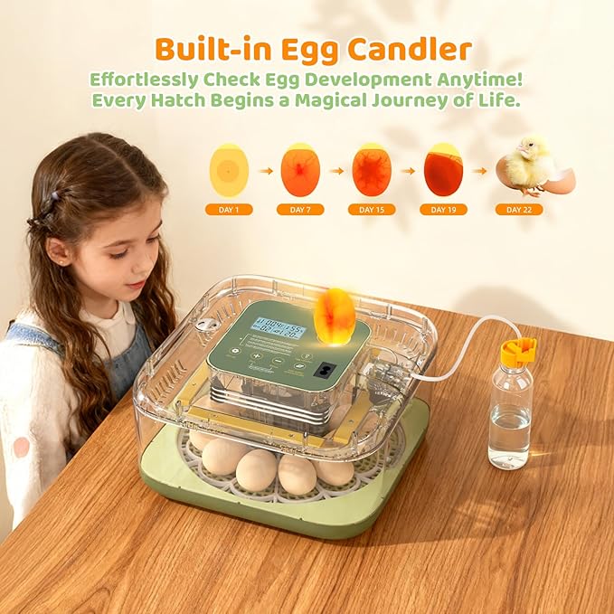 Fully Automatic Egg Incubator for Hatching Eggs, Auto Water Refill & Turner, 12 Egg Capacity (24 Quail), LED Candler, Fahrenheit Display Hatcher for Chickens Ducks Birds, Beginner Friendly