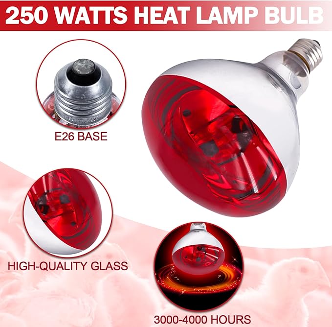 250 Watt R40 Red Heat Lamp Bulbs (2-Pack) - Infrared Incandescent Light Bulb for Chickens, Chicks, Reptiles, Pets, Poultry, Brooder, Coop, Bathroom & Sauna - E26 Base, 120V