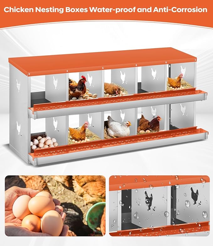 10-Compartment Double-Tier Metal Chicken Nesting Box - Rollaway Egg Laying Station - Vented, Easy-Clean Design, Wall Mount or Freestanding, Includes Egg Collection Tray, Red, Double Layer 10