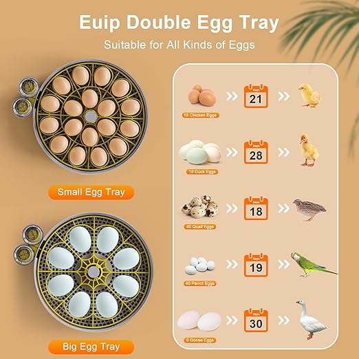 Incubator for Hatching Eggs-18 Egg Capacity, 2026 Newly Upraded Automatic Egg Turner, Temperature & Humidity Control, 360° Viewing for Chicken, Duck and Quail Eggs (Black)