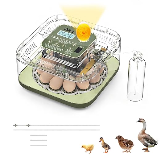 Automatic 12 Egg Incubator - Digital Temperature/Humidity Display, Hatch Day Countdown, Auto Egg Turner & Candler with 360° View for Hatching Chicken, Duck, Quail Eggs