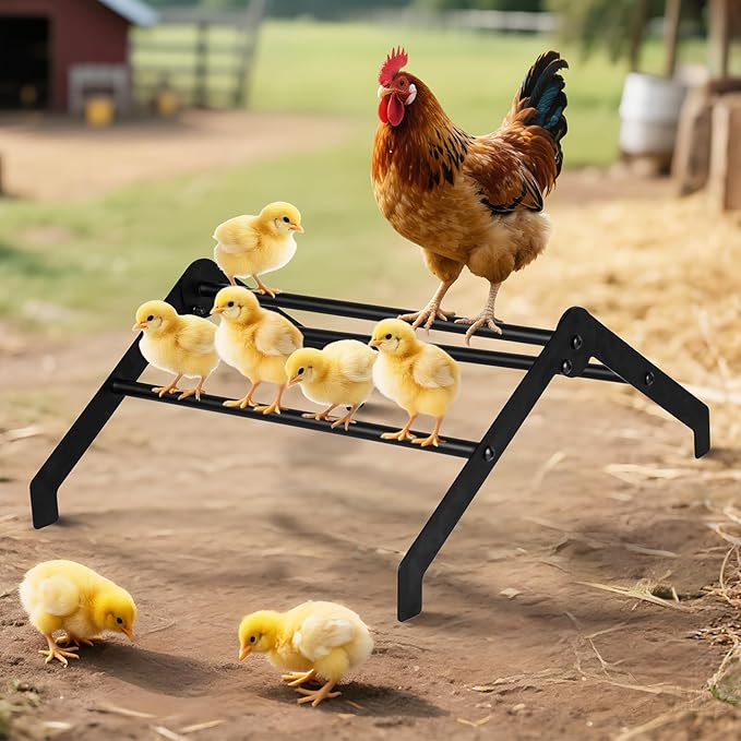 Makerfire Adjustable Chicken Perch for Coop, Metal Roosting Bars for Chickens in Coop, Baby Chick Perch Toys for Brooder, Training Perch Ladder for Large Bird, Parrot, Hens, Macaw (Large)