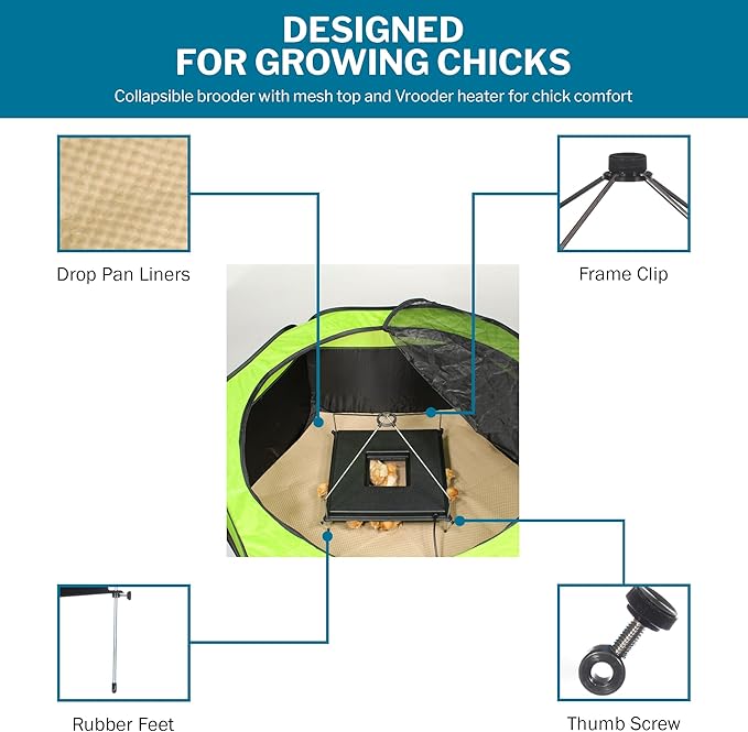 Incubator Warehouse Insta Brooder™ with Vrooder™ Heater Plate - Chicken Pop Up Playpen with Removable Mesh Top - Portable and Foldable Chicken Pen - Indoor Brooder Box for Chicks (36 x 36 x 18 inches)