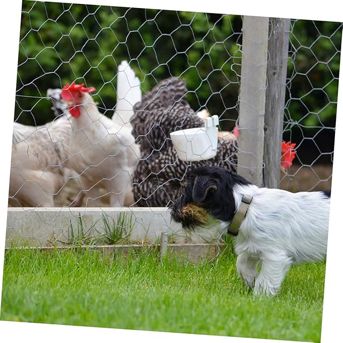 1Roll Heavy Duty Galvanized Chicken Netting Poultry Fencing Wire for Rabbit Cages Garden Enclosures Quick Setup Protection