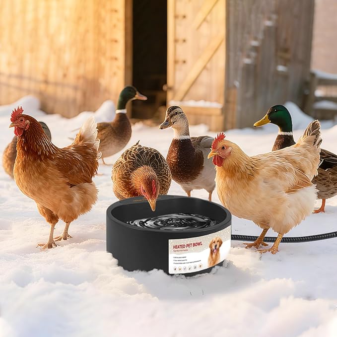 2.2L Heated Dog Bowl, Provides No Freeze Water, Pet Water Heater for Dogs/Cats/Chickens/Birds/Livestock, Black