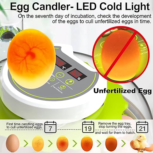 Egg Incubators for Hatching Eggs, 8/30 Chicken Egg Incubator with Automatic Egg Turning, Temperature Control & Humidity Display, Egg Candler, Home Use for Chicken, Duck, Quail - 2 Egg Trays Green