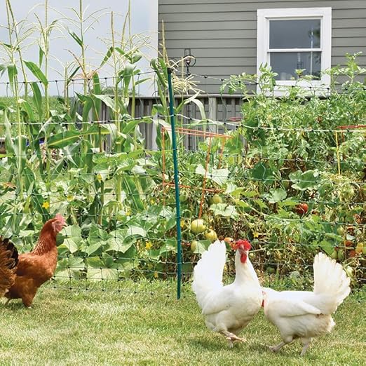 Premier 1 PoultryNet® Plus, 42"H x 100'L Portable Electric Fence with Extra Line Posts to Reduce Sag | Double Spike for Added Stability | Green/Black Fence for Chickens, Ducks, Geese