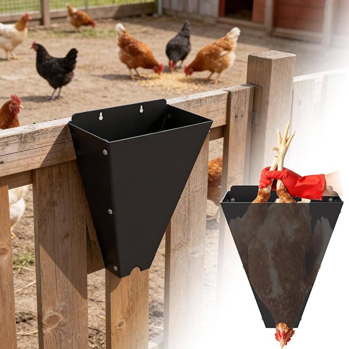 Chicken Cone for Butchering: 10 lbs Metal Poultry Restraining Cone, Flat Back Design, Easy to Clean, Medium Chicken Processing Equipment for Laying Hens, Broilers, and Turkeys