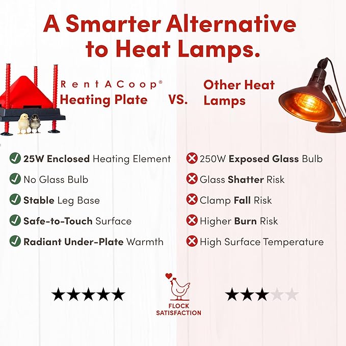 RentACoop 10x10” Heating Plate with Hard Anti-Roost Cone Set and Removable Comfort Feathers – Chick Brooder Heat Plate Warms Up to 15 Chicks – Energy Efficient - Safer Than Heat Lamps