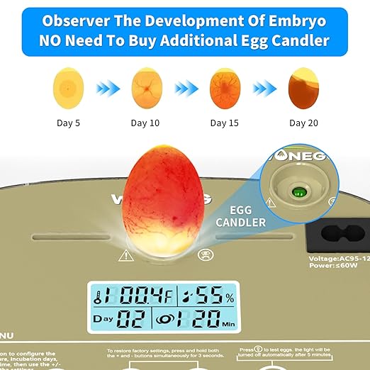 Incubator for Hatching Eggs,Automatic Turning,Temperature and Humidity Control Display, 360° Viewing for Chicken, Duck, Quail Eggs, Perfect for Farm, Classroom, Home Use,24 Egg Incubators