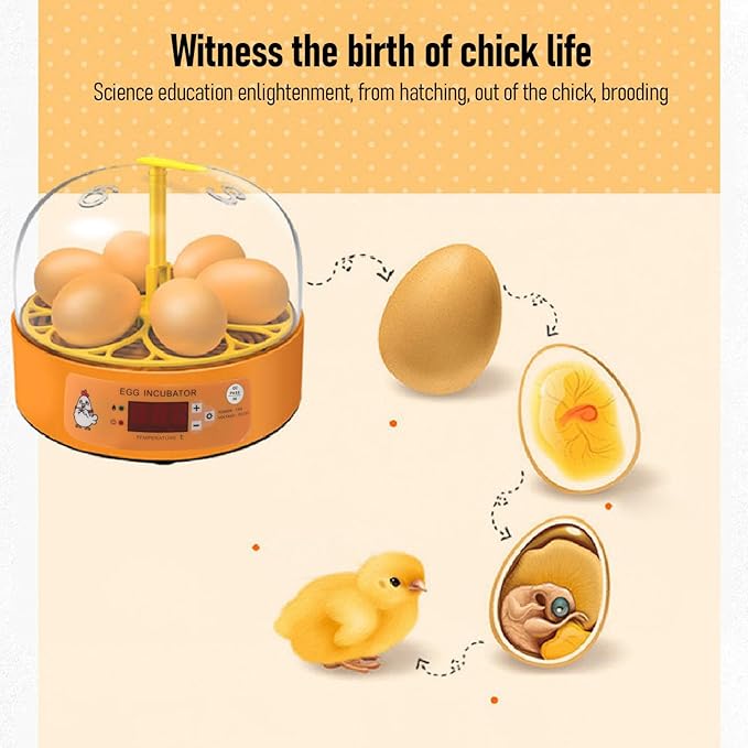 6 Egg Incubator, Automatic Temperature and Humidity Control Manual Egg Turning Poultry Incubator, Incubators for, Hatching Chicken Duck Quail Parrot (US Plug), Depisutamuf4x3e2gd-11