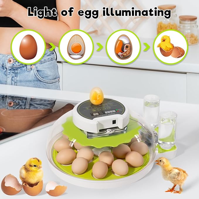 18 Egg Incubator with Automatic Turning & Humidity Control, 0.1 Precision for Chicken/Duck/Goose/Quail/Parrot Eggs (Green)