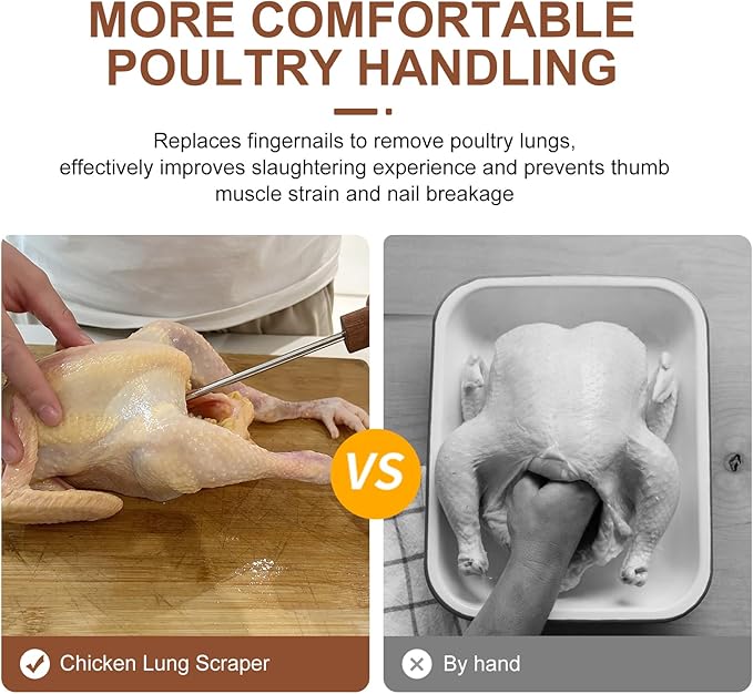 Lung Scraper of Chicken Processing Equipment, Easily Removes Poultry Lungs, Acacia Wood Handle, Chicken Butchering Equipment That Efficient Gutting Tool for Turkey, Chicken