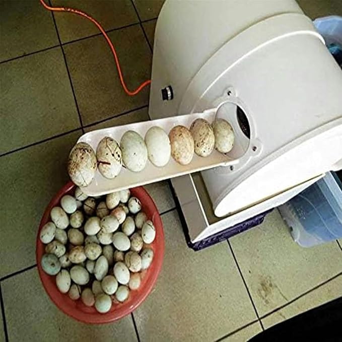 Automatic Egg Washer, Duck Egg Cleaners, Egg Treatment Plant for Fresh Eggs, Reusable Cleaning Tools for Egg Washer ~/