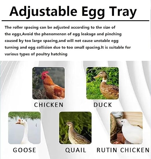 Automatic Incubator for Hatching Eggs, Upgrade Automatic Water Adding, Chicken Incubator with Temperature and Humidity Control Chicken Egg lamp for Hatching Chicken Duck Quail Eggs, 192 Eggs