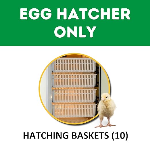 Incubators for Hatching Eggs – HB350H Egg Incubator Hatcher, Automatic & Self-Regulated Temperature & Humidity, Chicken Egg Incubator, Professional Cabinet Poultry Incubator by Cimuka