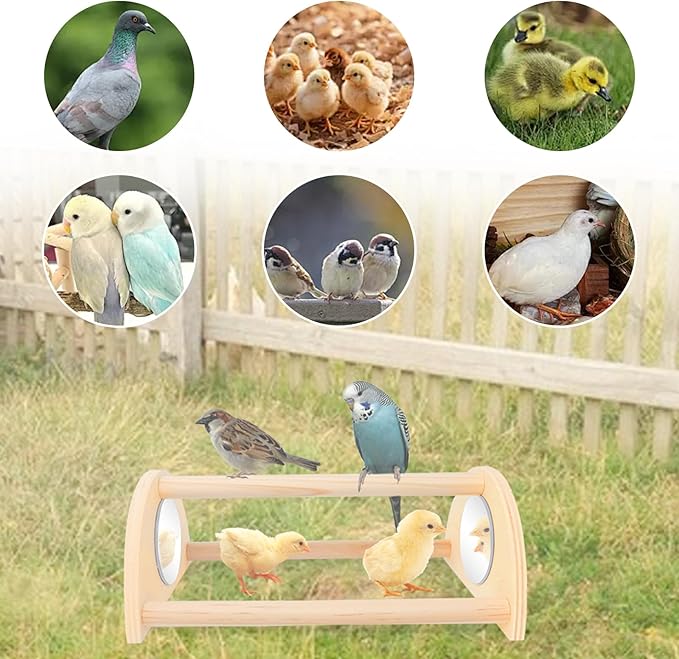 ALIBBON Mini Chicken Perch with Mirror Chick Strong Wooden Jungle Gym Roosting Bar Chicken Toys for Coop and Brooder Chick Training Perch for Large Bird Baby Chicks Parrot