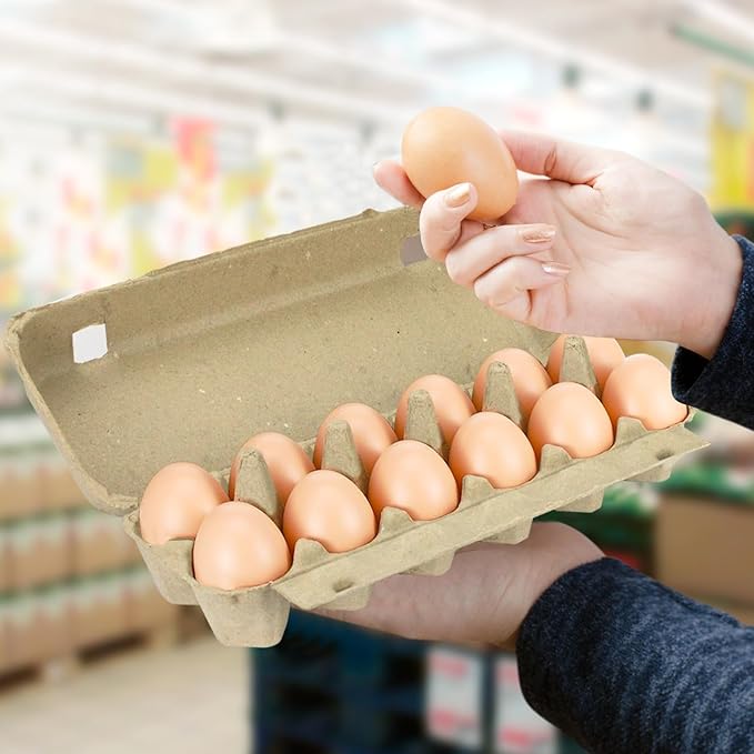 Lechay 20 Pcs Egg Cartons Cheap Bulk, 2x6 Eggs 12 count Pulp Paper Egg Tray Egg Tray Container for Supermarkets, Kitchen, Vegetable Markets