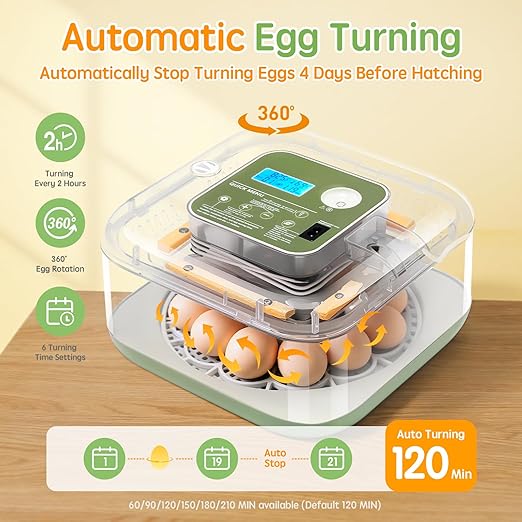 Incubator for Hatching Eggs Automatic Humidity and Temperature Control 12 Eggs Incubator, Digital Display Auto Turner 360° View Egg Candler for Chicken, Duck and Quail Bird Eggs