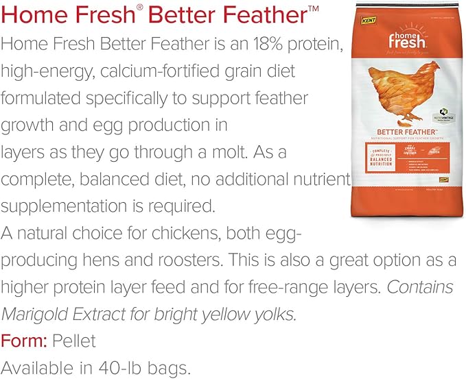 Chicken Feed | Supports Feather Growth and Egg Production, High Energy and Protein, Better Feather Chicken Food | 40 Pound Bag