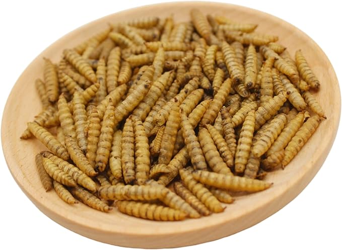 HARTOMPET Better Than Dried Mealworms for Chickens 5 lbs - 85X Calcium Than MealWorms - Non-GMO Chicken Feed Additive - Black Soldier Fly Larvae Treats for Hens, Ducks, Wild Birds