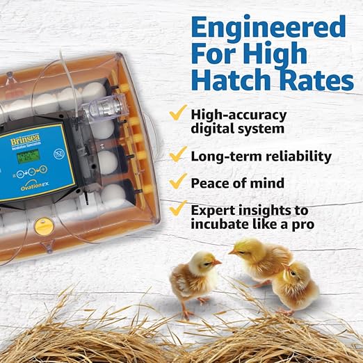 Brinsea Ovation 28 EX Egg Incubator & Expert Incubation Book, Automatic Humidity Control and Egg Turning for Hatching 28 Chicken, Duck, Other Bird Eggs, Precision Digital Controls