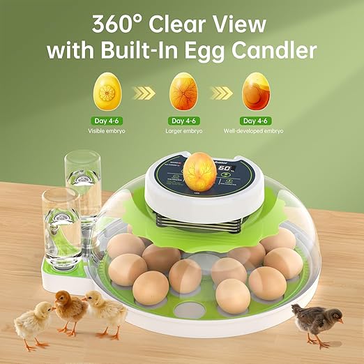 8 Egg Incubator with Automatic Egg Turning, Temperature & Humidity Control, Egg Candler, Mini Digital Incubator for Hatching Chicken Duck Quail Goose Bird – Home & Classroom Use