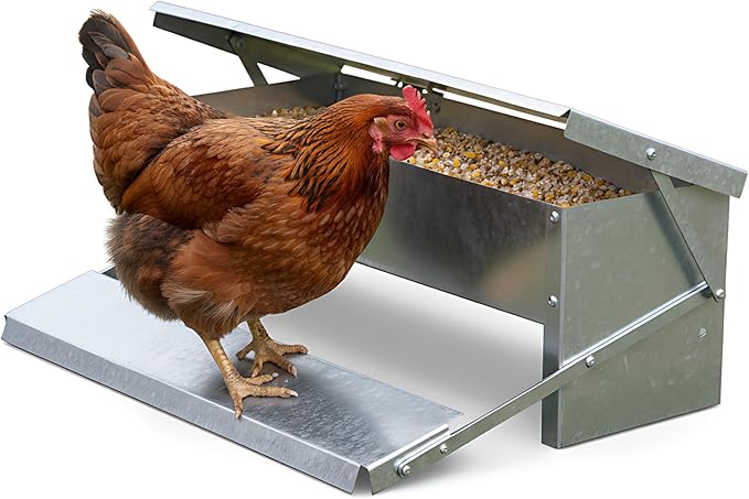Treadle Chicken Feeder - Rodent Proof No Waste | Weatherproof Galvanized Steel Large Capacity Poultry Feeder for Chickens Ducks (Holds Grit/Oyster Shell, Silver)