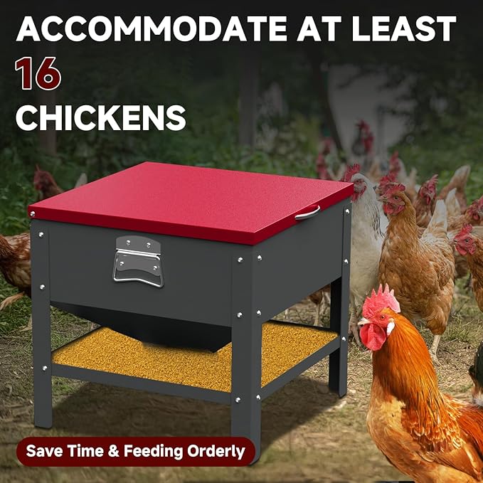 80 LBS Automatic Chicken Feeder, Heavy Duty Galvanized Metal Poultry Feeder for Ducks Turkeys, Weather-Resistant & Rat-Resistant No Waste Chicken Feeder