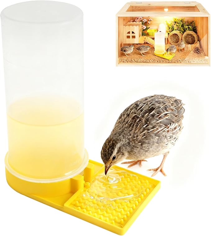 Large Capacity Quail Water Feeder,Button Quail Supplies for Quail Cage, Multi-Use as Quail Feeder, Quail Waterer, Chick Waterer,Baby Chick Waterer, Ideal Quail Feeders for Baby Bird