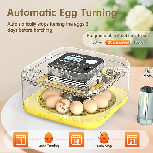 HOWOOlUA 12 Egg Incubator for Hatching Eggs with Auto Turn, Temp & Humidity Control, Built-in Candler Large Capacity Egg Incubator for Chicken Duck Goose Eggs (Yellow)