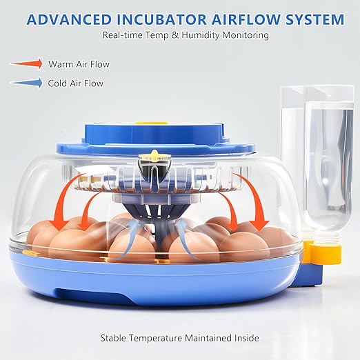Incubators for Hatching Eggs - 18 Egg Capacity, Egg Incubator with Automatic Egg Turning and Temperature Control, Incubator for Chicken, Duck, Goose, Quail, 360° Full View, Home Farm Classroom Use