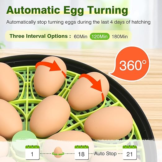18 Chicken Egg Incubator with Temperature Control, Humidity Display, Auto Egg Turner, Egg Candler, 2 Size Egg Trays, Chick Incubaotrs for Hatching Eggs Digital Incubator for Chicken, Duck Eggs