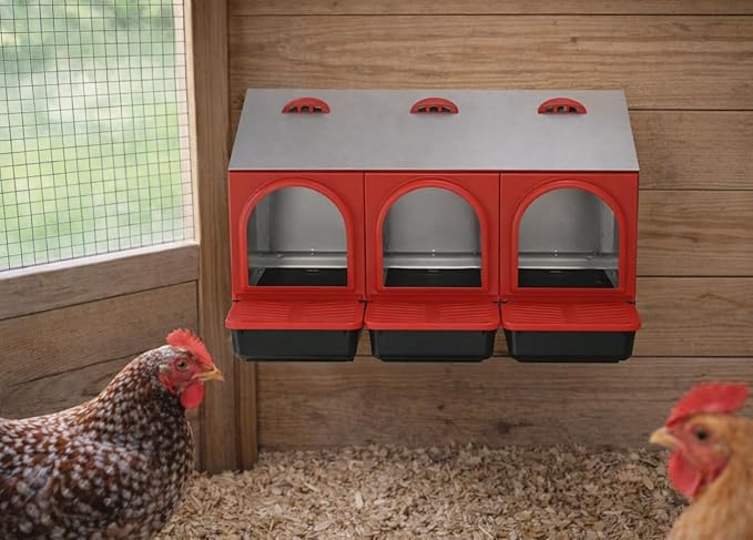 My Favorite Chicken Metal Rollout Nest Box – Roll Away Egg Laying Box for Chickens, Wall Mount Coop Nesting Box, Easy Clean Removable Buckets, Heavy-Duty Galvanized (Three Hole)