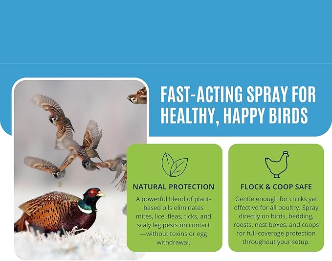 Colton’s Naturals Poultry Spray 16 oz – for Chickens – Helps with Mites, Lice, Fleas & Scaly Leg – Safe for Coops, Birds & Backyard Poultry