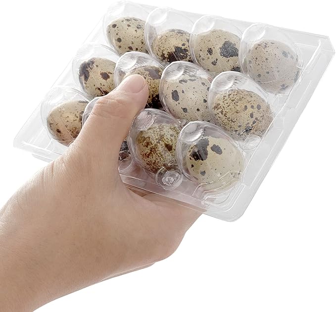 JOIKIT 150 PCS 12 Cavity Clear Plastic Quail Egg Cartons, PVC Stackable Egg Storage Box with Hinge Lid, Small Quail Egg Holder Cartons Cheap Bulks for Quail Eggs Farm Market Refrigerator Display