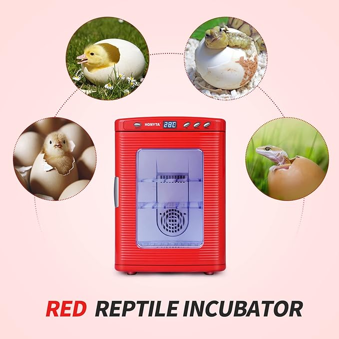 RYFT Incubators for Hatching Eggs, 25L Portable Reptile Scientific Lab Incubator with 5°C-60°C, 12V/110V Heating and Cooling for Small Reptiles (Red)