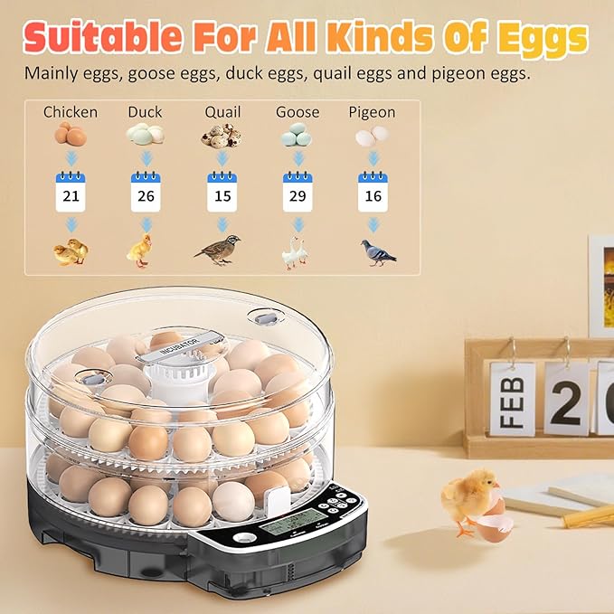 48 Incubators for Hatching Eggs, Egg Incubator with Automatic Egg Turning and Humidity Control, Intelligent Egg Incubator with Automatic Temp. Adjustment