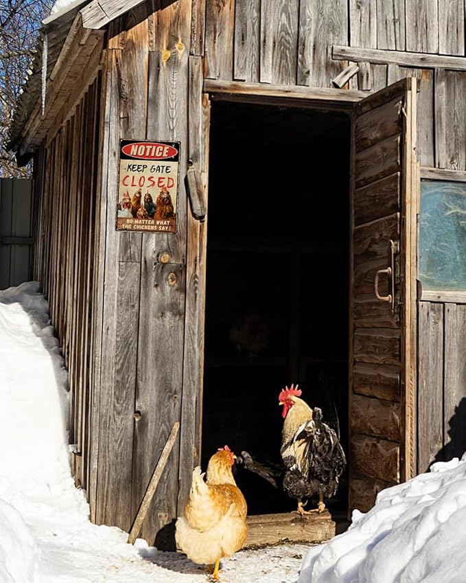 ALKB Funny Chicken Coop Accessories Outdoor Chicken Decor 8" x12'' - Keep Gate Closed No Matter What The Chickens Say for Chicken Lovers