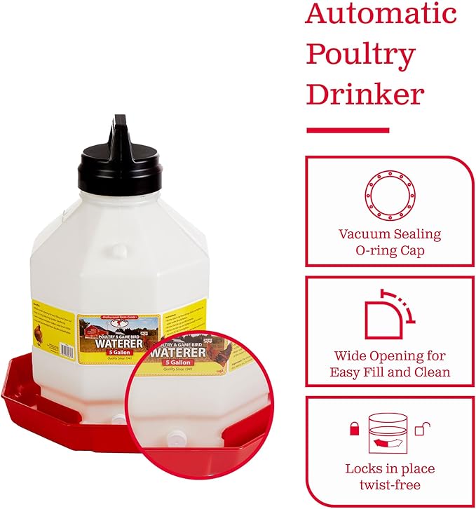 Little Giant PPF5 5 Gallon Automatic Poultry Waterer for Chickens, Red (2 Pack)